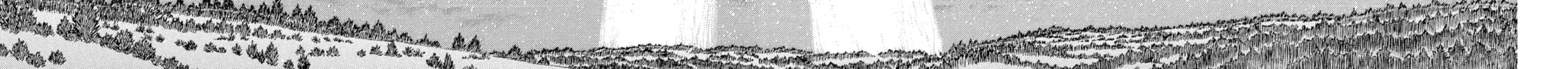 Berserk Chapter 307 page 4 - 