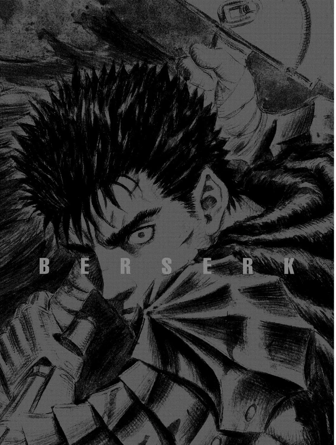 Berserk Chapter 311 page 13 - 