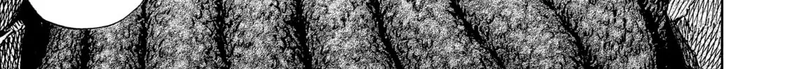 Berserk Chapter 313 page 14 - 