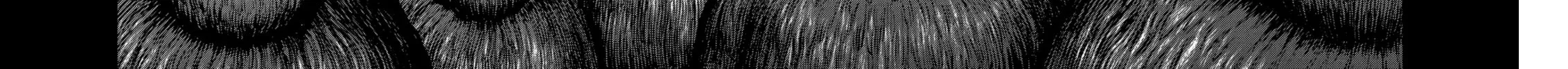 Berserk Chapter 313 page 24 - 