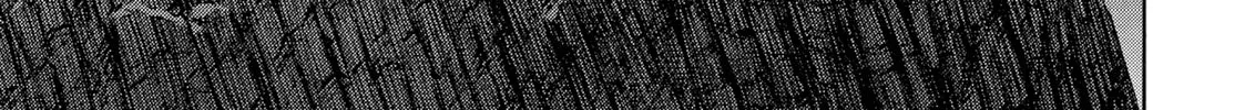 Berserk Chapter 314 page 26 - 