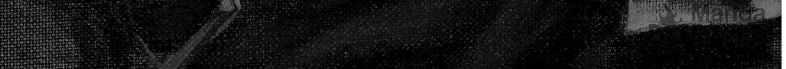 Berserk Chapter 323 page 36 - 