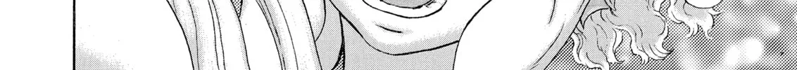 Berserk Chapter 325 page 14 - 