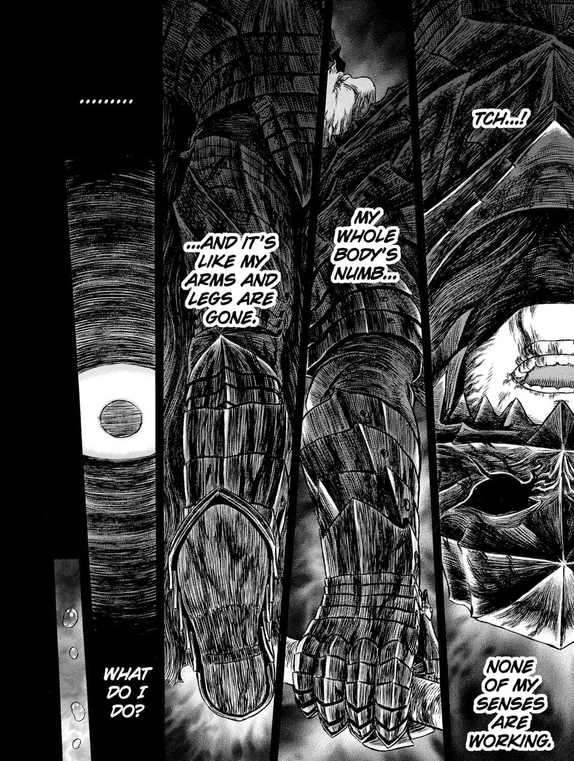 Berserk Chapter 325 page 29 - 