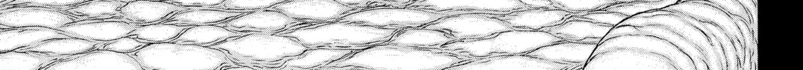 Berserk Chapter 325 page 32 - 