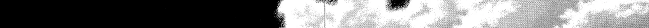 Berserk Chapter 328 page 38 - 