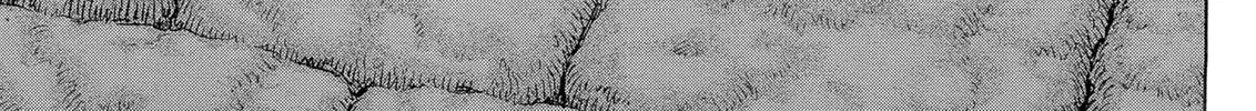 Berserk Chapter 330 page 2 - 