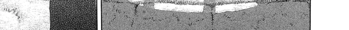 Berserk Chapter 330 page 38 - 