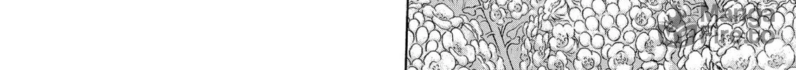 Berserk Chapter 331 page 42 - 