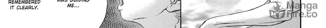 Berserk Chapter 334 page 30 - 