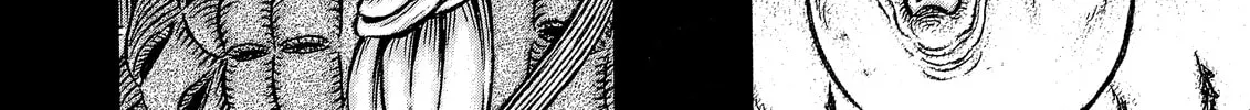 Berserk Chapter 336 page 38 - 