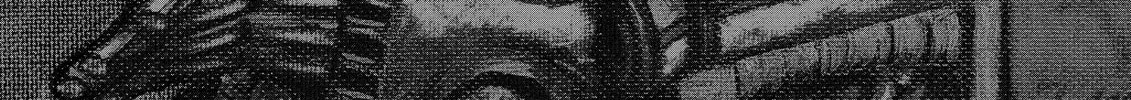 Berserk Chapter 336 page 44 - 