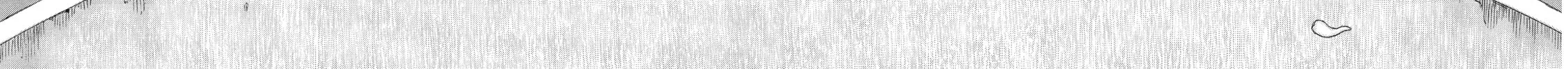 Berserk Chapter 337 page 22 - 