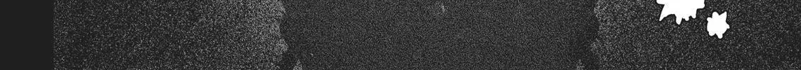 Berserk Chapter 351 page 38 - 