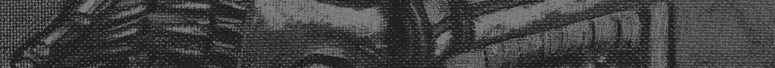 Berserk Chapter 355 page 38 - 
