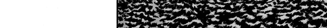 Berserk Chapter 37 page 4 - 