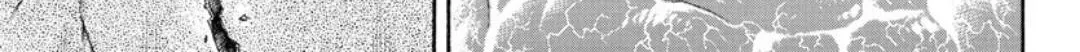 Berserk Chapter 370.5 page 23 - 