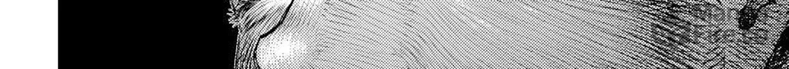 Berserk Chapter 370 page 30 - 