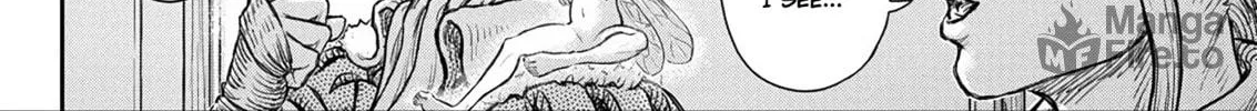 Berserk Chapter 376 page 30 - 