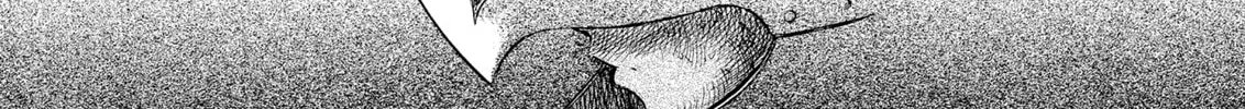Berserk Chapter 66 page 8 - 