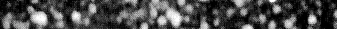 Berserk Chapter 79 page 32 - 