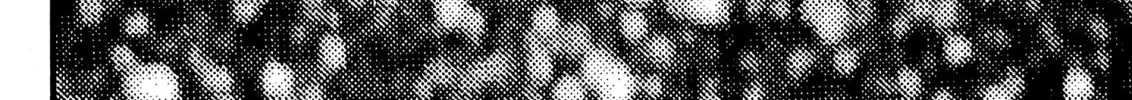 Berserk Chapter 92 page 28 - 