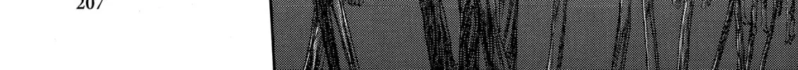 Berserk Chapter 99.5 page 28 - 