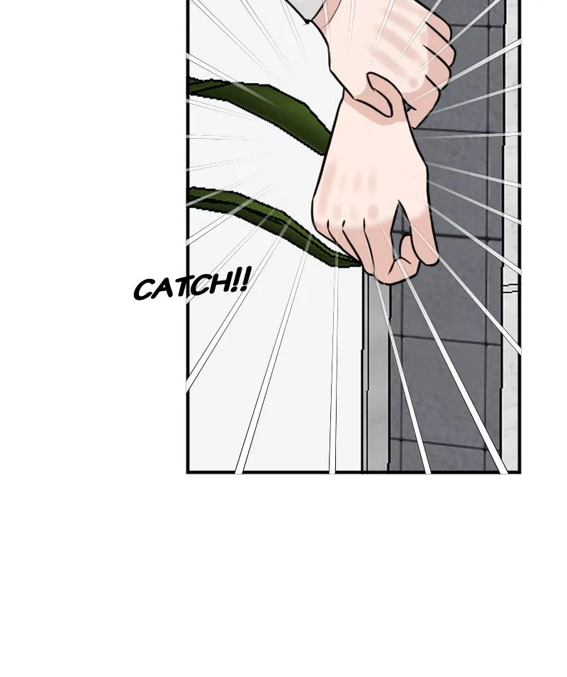 Between Red & White [White Lotus-San Chapter 2.1 page 37 - 