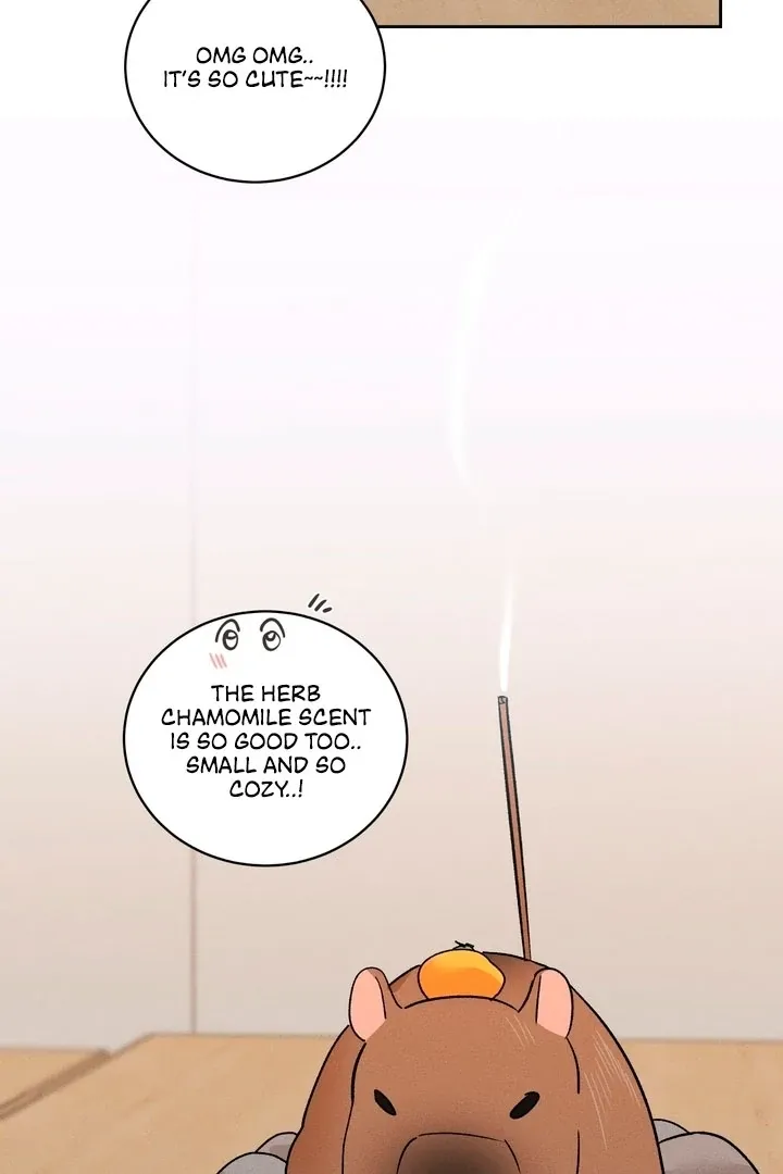 Between two loves Chapter 12 page 25 - 