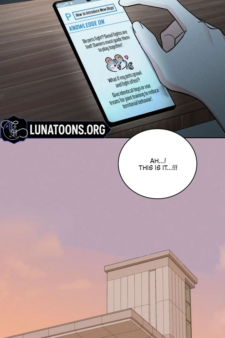 Between two loves Chapter 8 page 63 - 