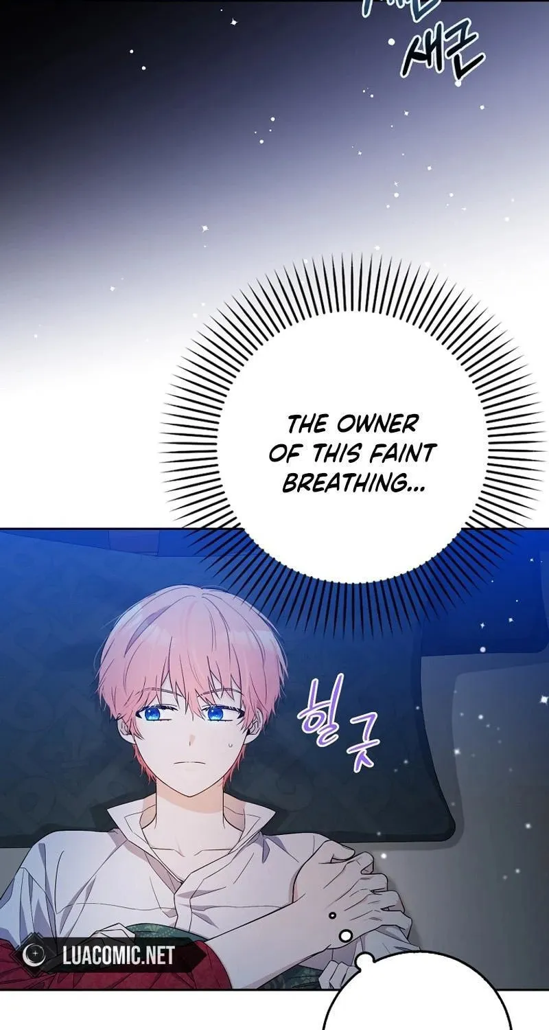 Beware of the Strongest Man Who Is Crazy About Me Chapter 1 page 3 - 