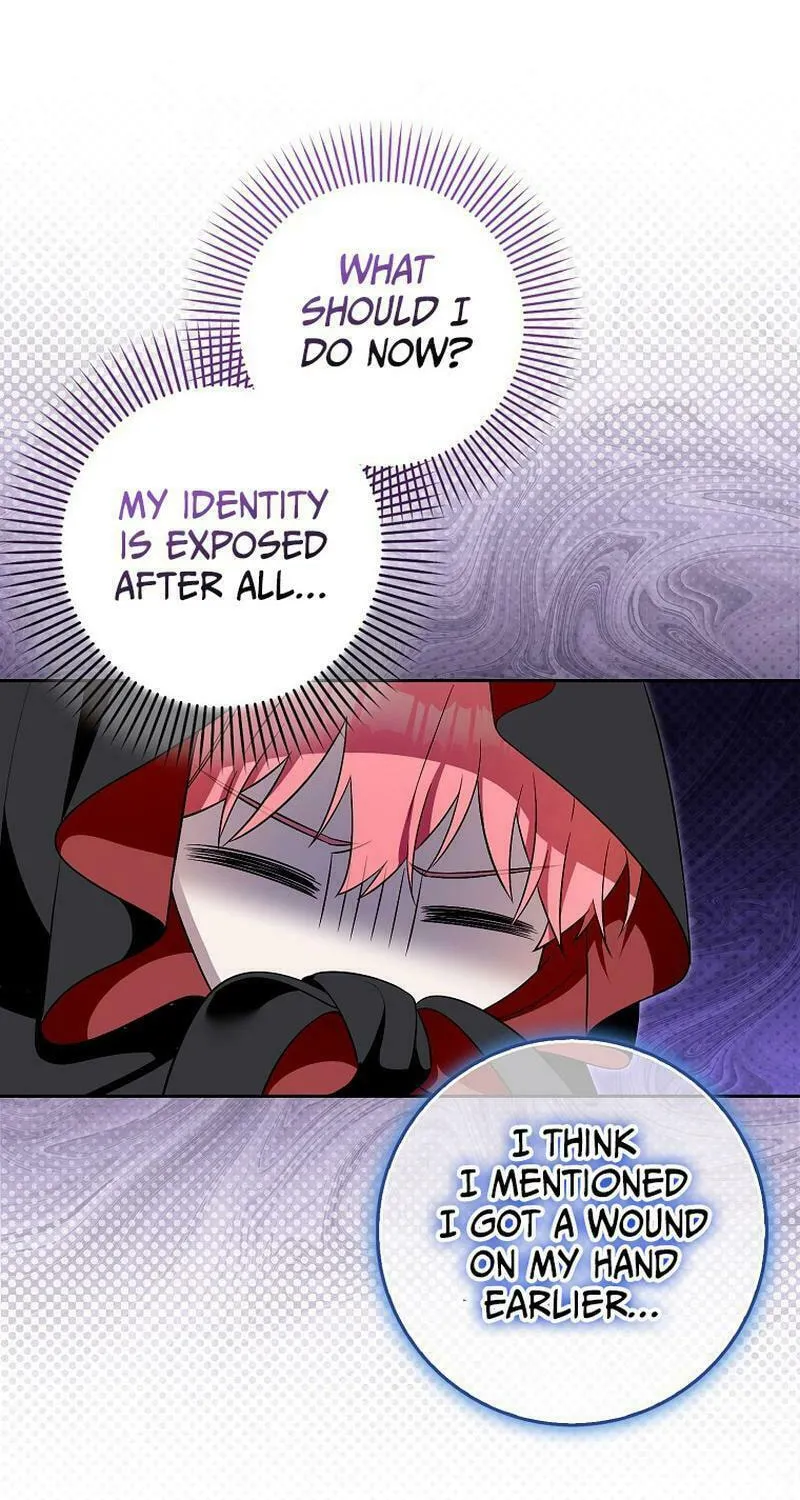 Beware of the Strongest Man Who Is Crazy About Me Chapter 11 page 24 - 