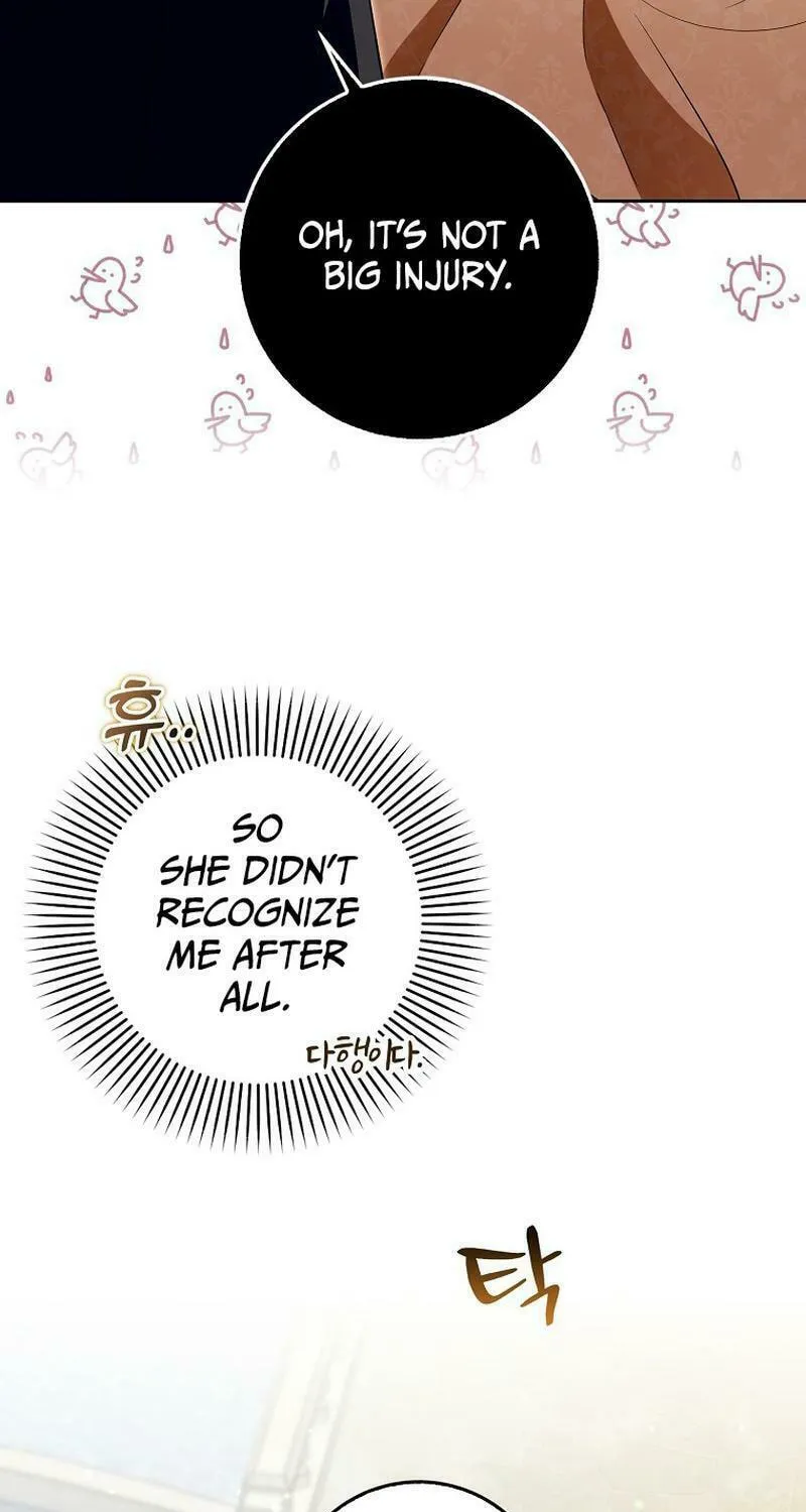Beware of the Strongest Man Who Is Crazy About Me Chapter 11 page 26 - 