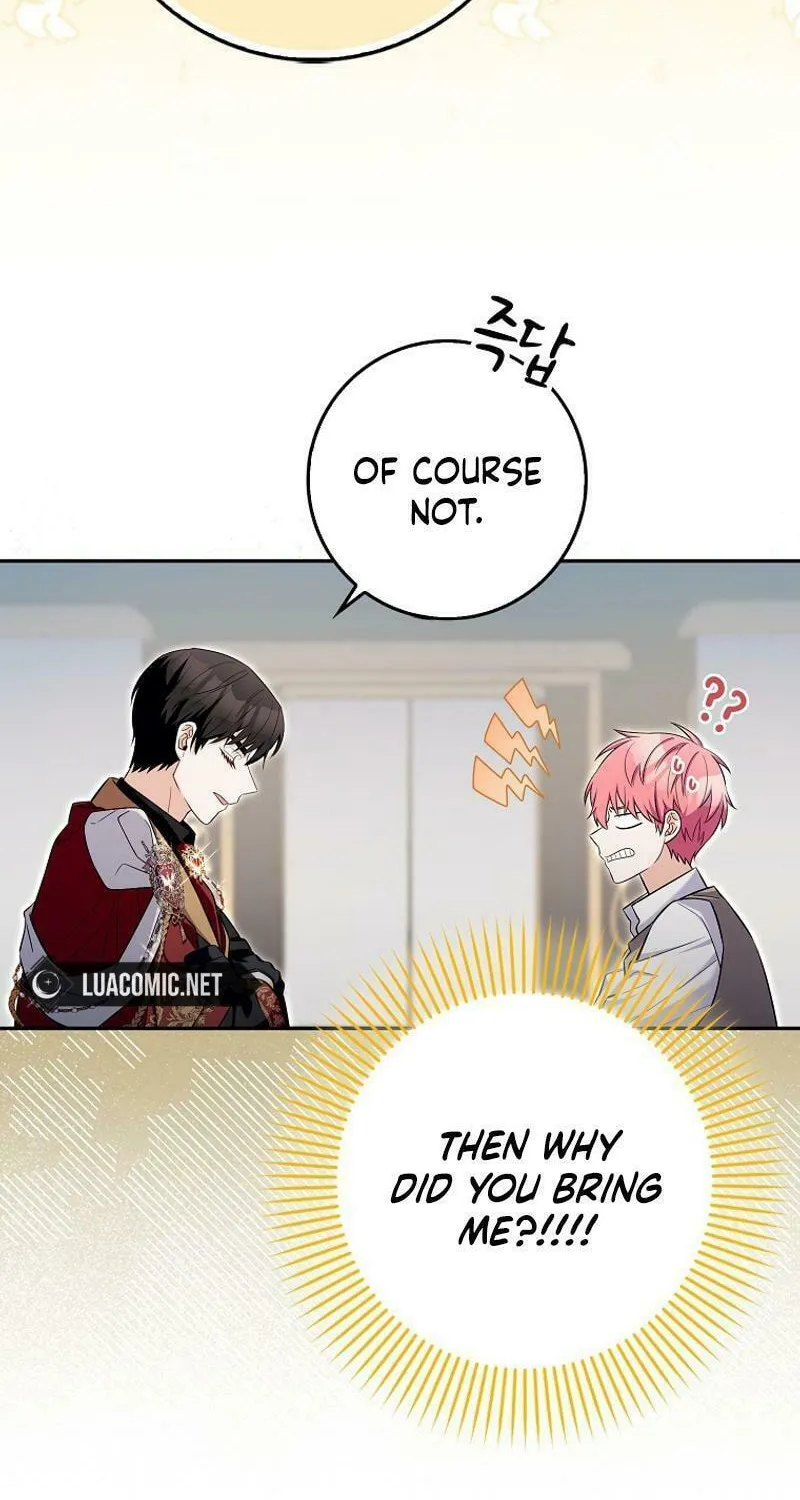Beware of the Strongest Man Who Is Crazy About Me Chapter 15 page 24 - 