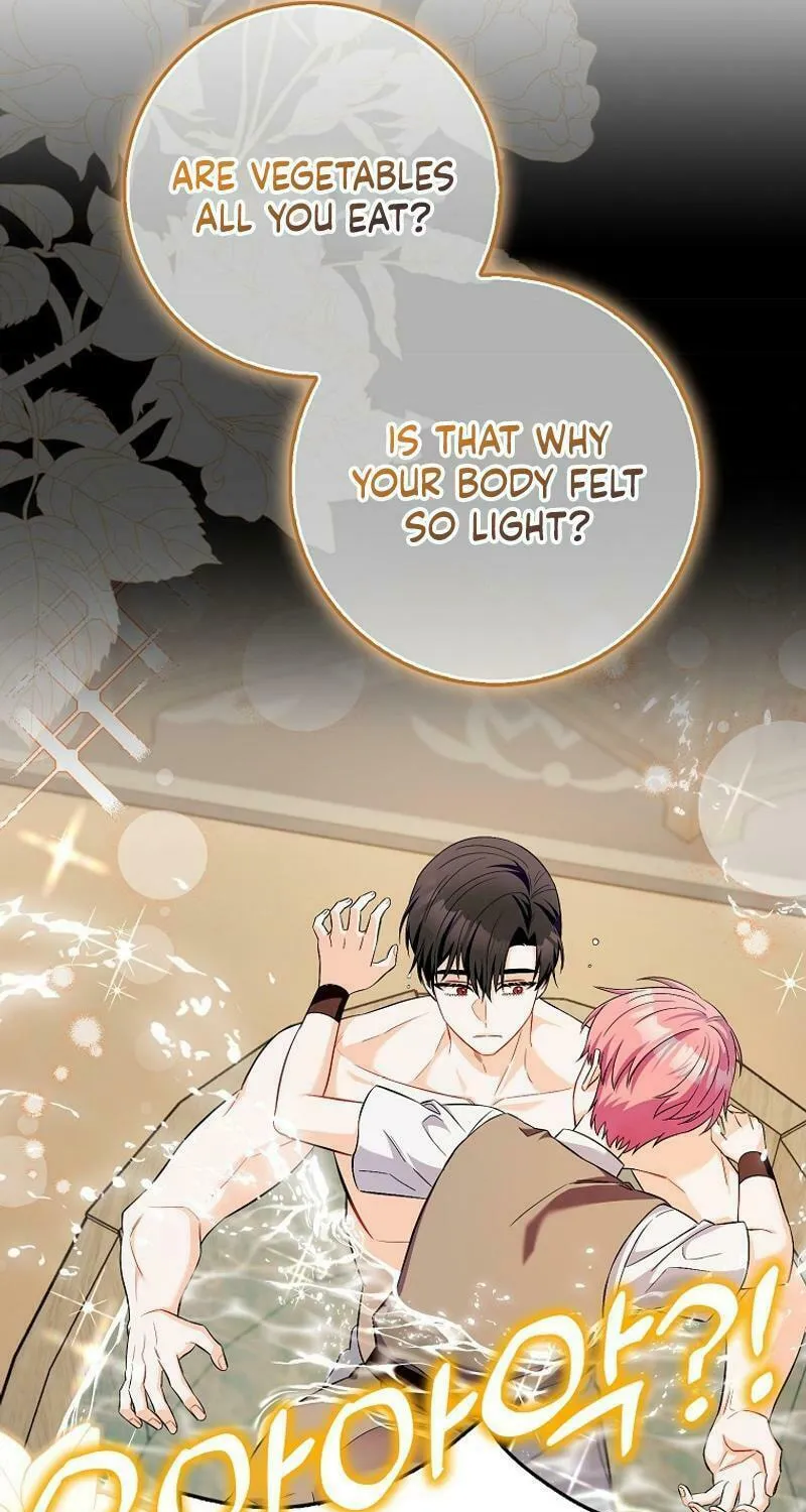 Beware of the Strongest Man Who Is Crazy About Me Chapter 19 page 63 - 