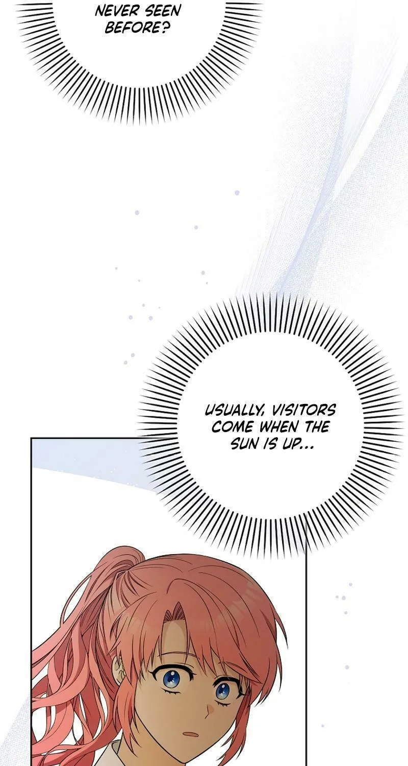 Beware of the Strongest Man Who Is Crazy About Me Chapter 2 page 19 - 