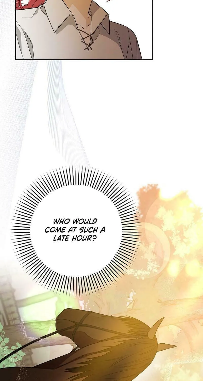 Beware of the Strongest Man Who Is Crazy About Me Chapter 2 page 20 - 