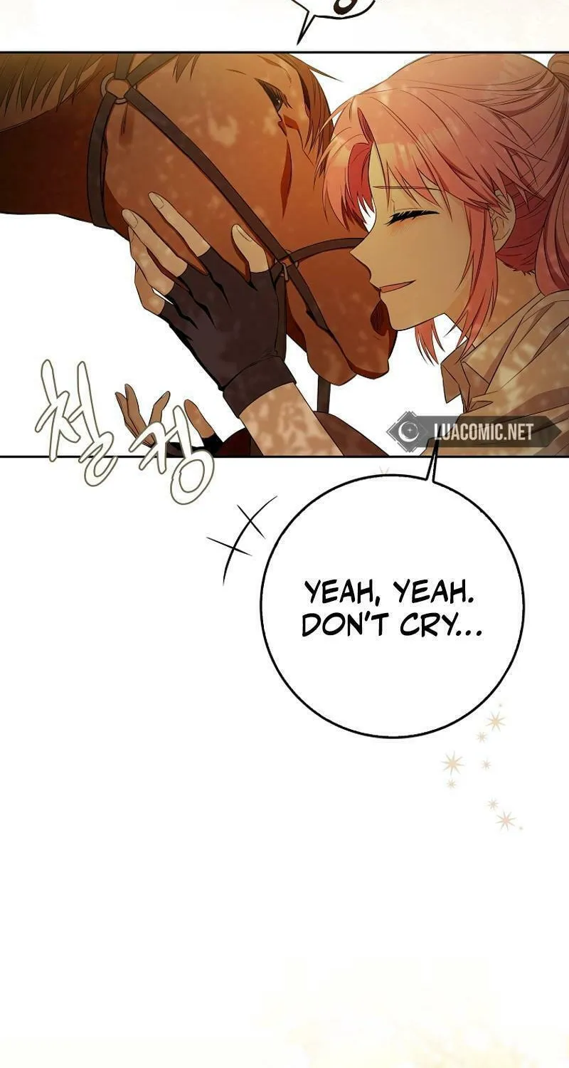 Beware of the Strongest Man Who Is Crazy About Me Chapter 2 page 42 - 