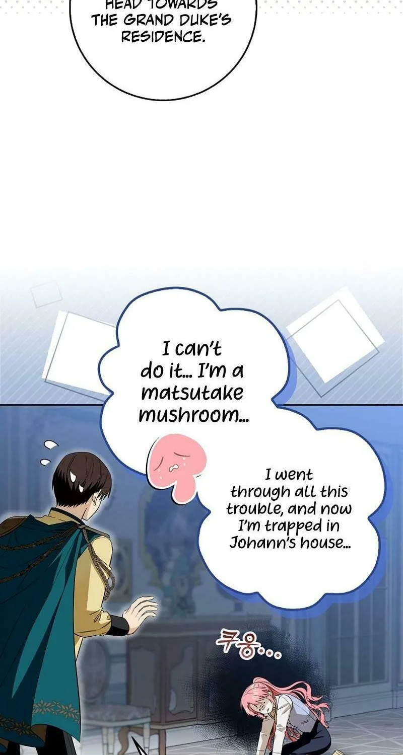 Beware of the Strongest Man Who Is Crazy About Me Chapter 2 page 50 - 