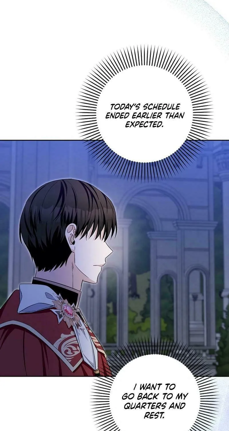 Beware of the Strongest Man Who Is Crazy About Me Chapter 25 page 60 - 