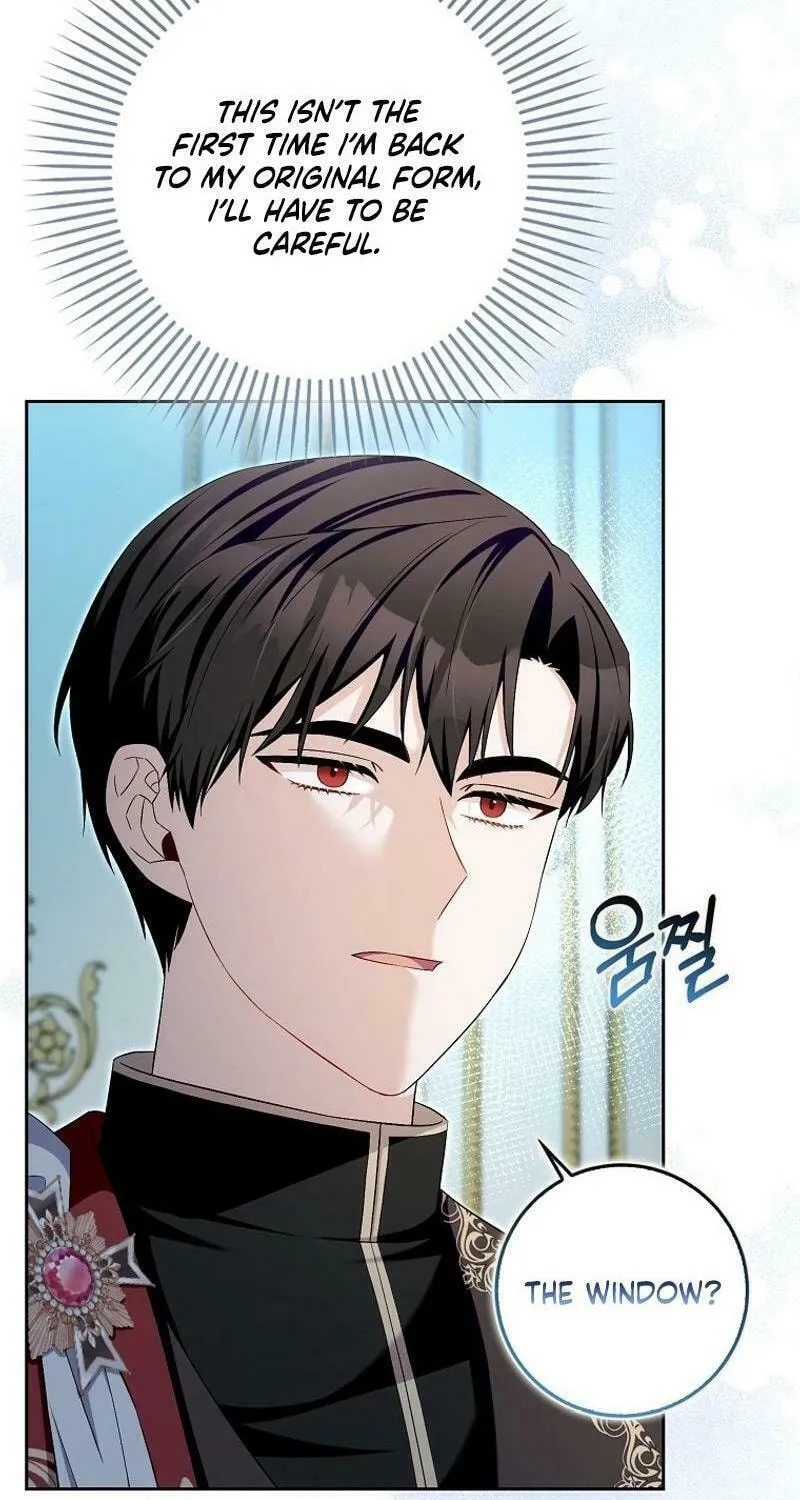 Beware of the Strongest Man Who Is Crazy About Me Chapter 27 page 11 - 