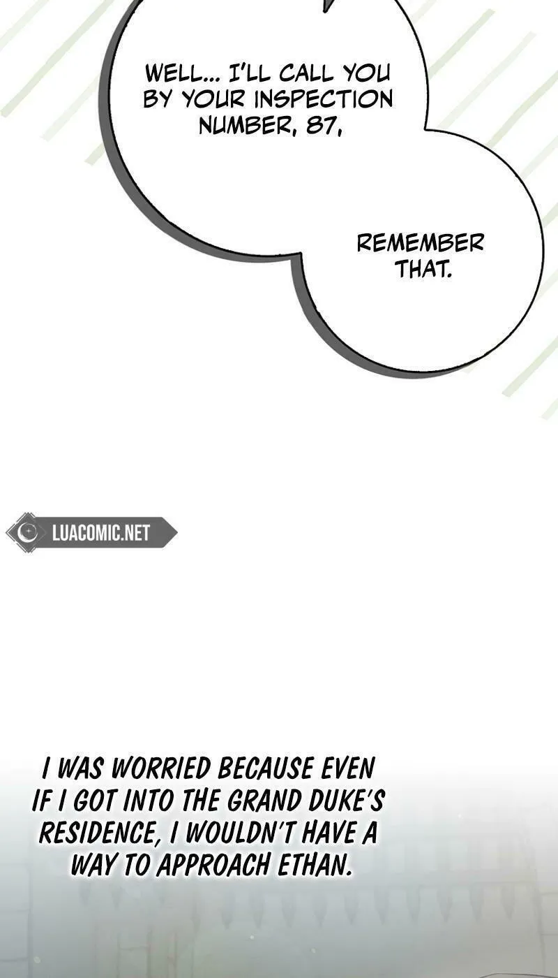 Beware of the Strongest Man Who Is Crazy About Me Chapter 3 page 51 - 
