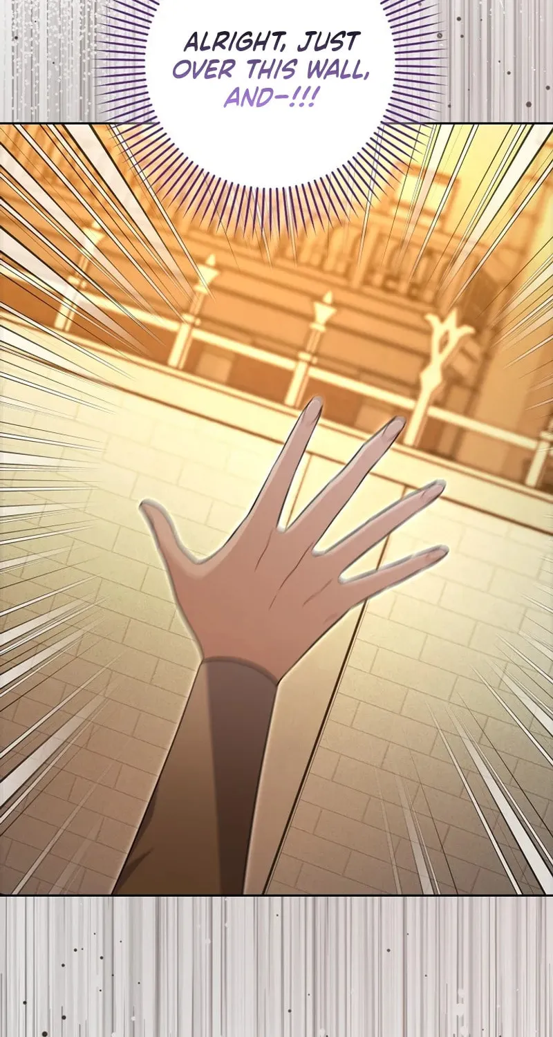 Beware of the Strongest Man Who Is Crazy About Me Chapter 32 page 19 - 