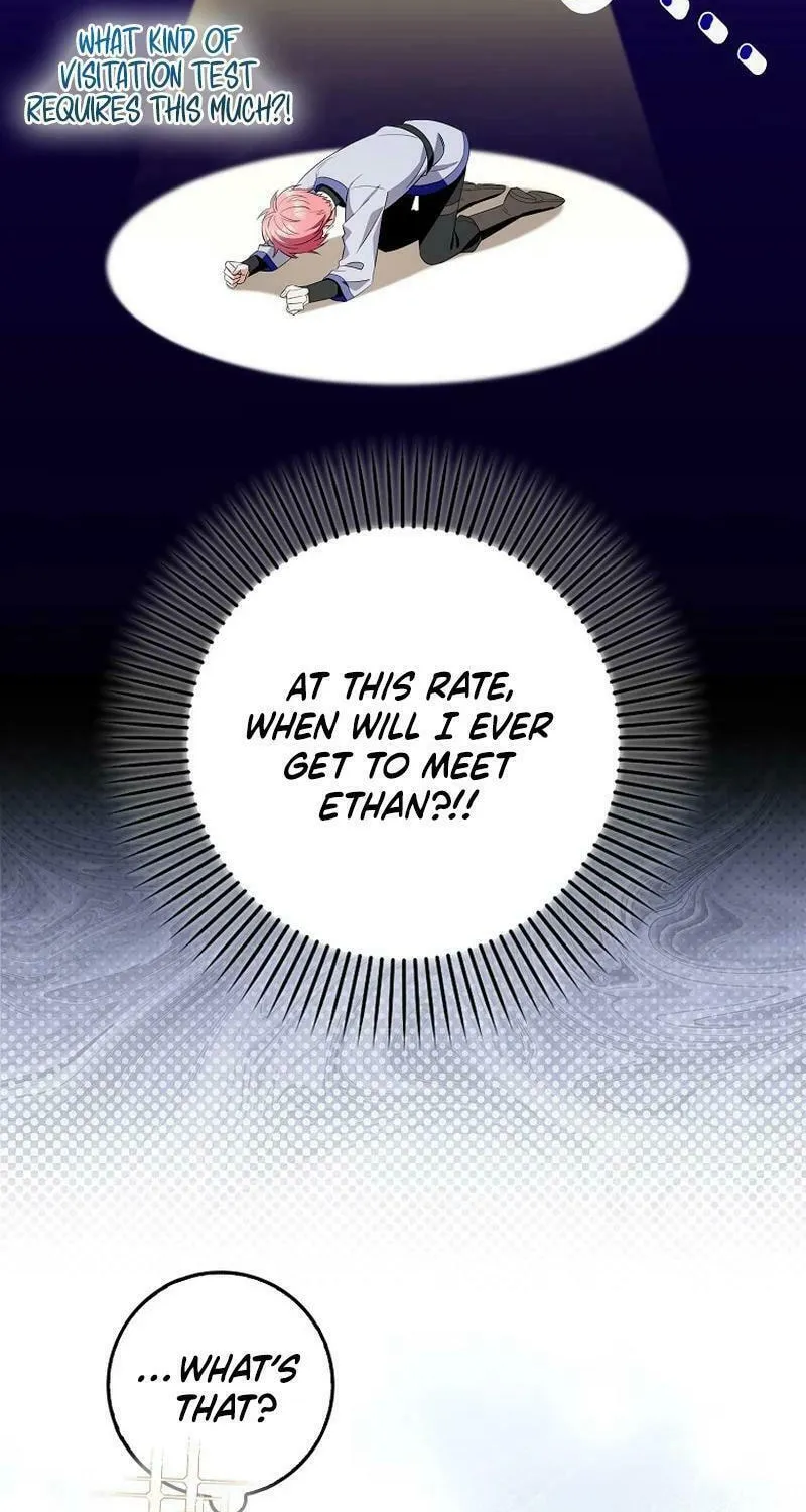 Beware of the Strongest Man Who Is Crazy About Me Chapter 4 page 9 - 