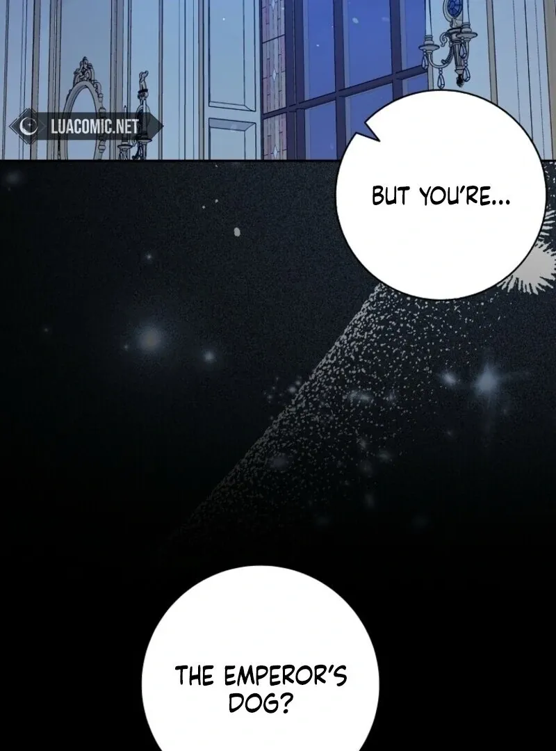 Beware of the Strongest Man Who Is Crazy About Me Chapter 51 page 89 - 