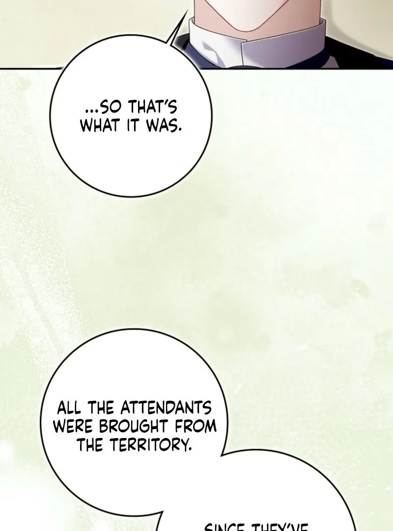 Beware of the Strongest Man Who Is Crazy About Me Chapter 52 page 45 - 