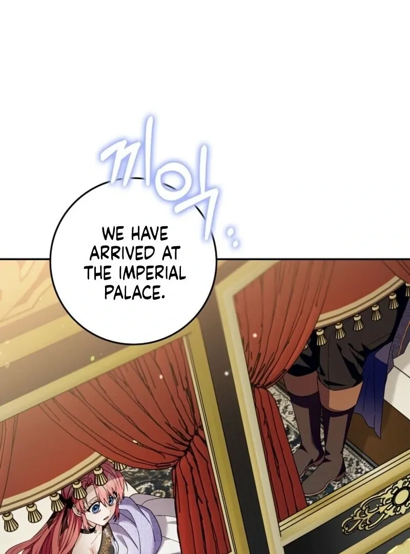 Beware of the Strongest Man Who Is Crazy About Me Chapter 52 page 61 - 