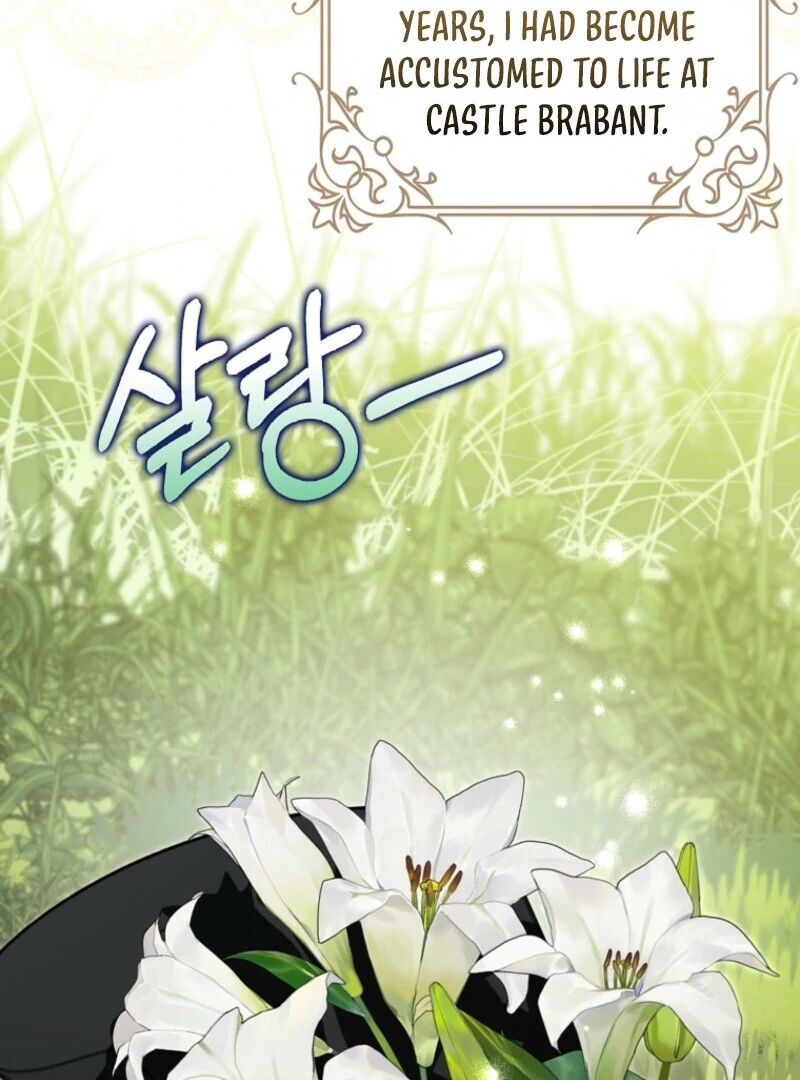 Beware of the Strongest Man Who Is Crazy About Me Chapter 60 page 32 - 