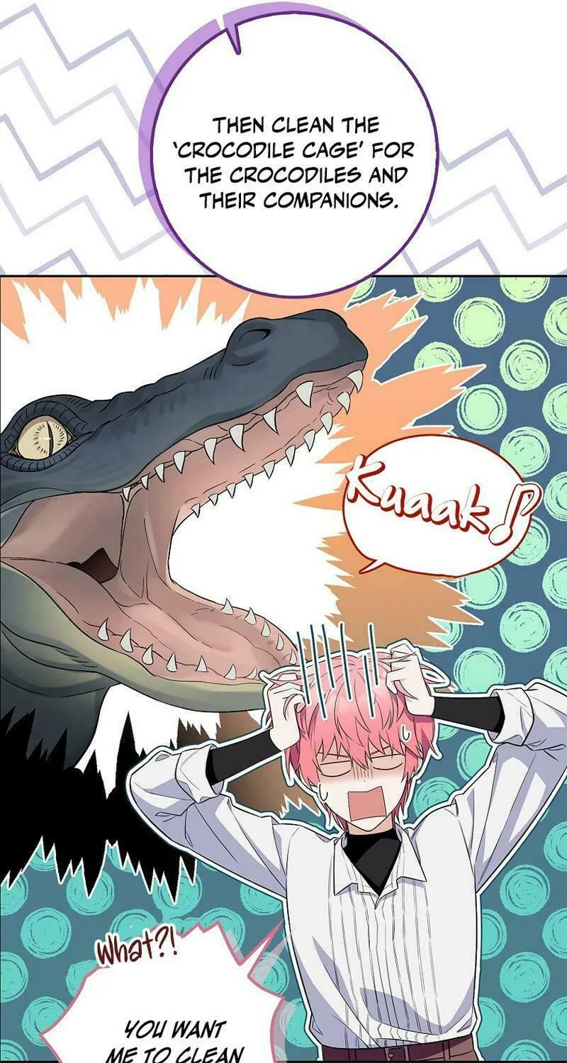 Beware of the Strongest Man Who Is Crazy About Me Chapter 8 page 13 - 