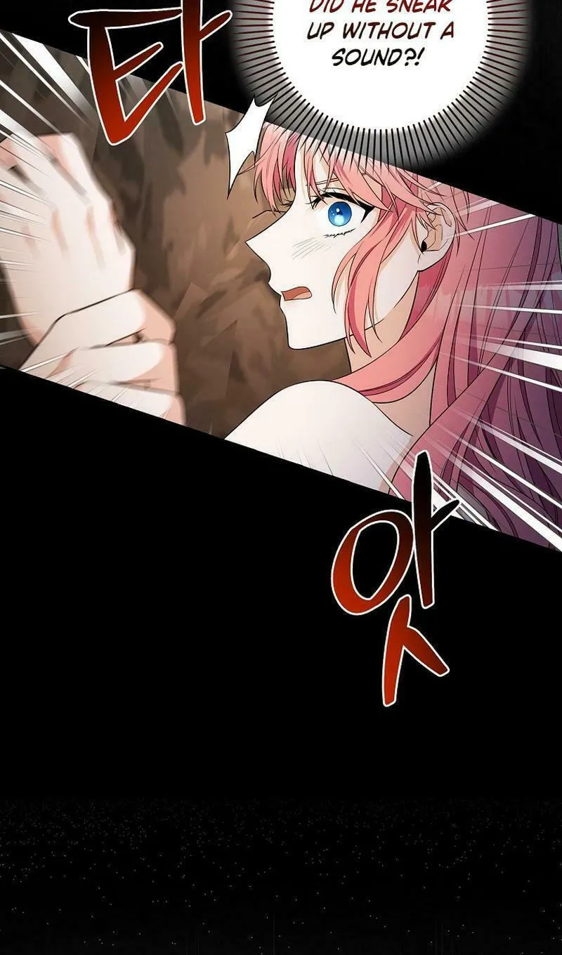 Beware of the Strongest Man Who Is Crazy About Me Chapter 8 page 48 - 